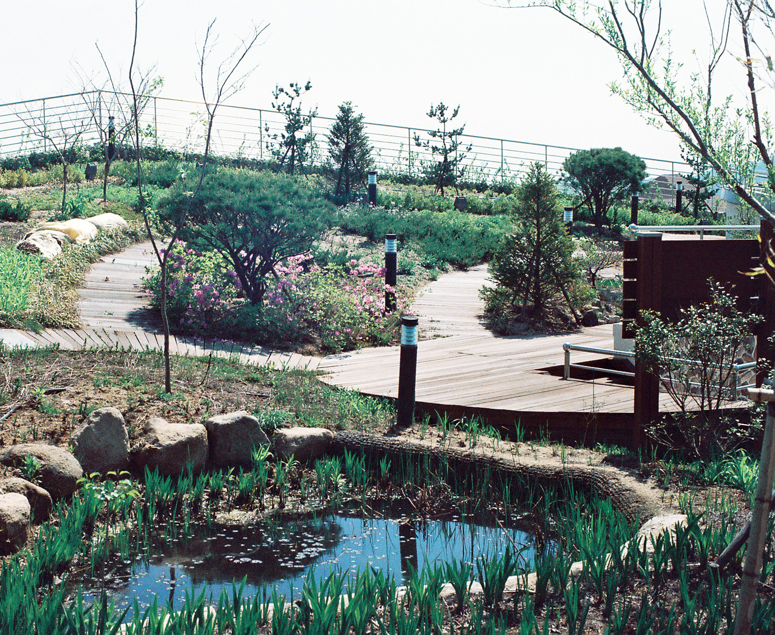 연못주변.jpg