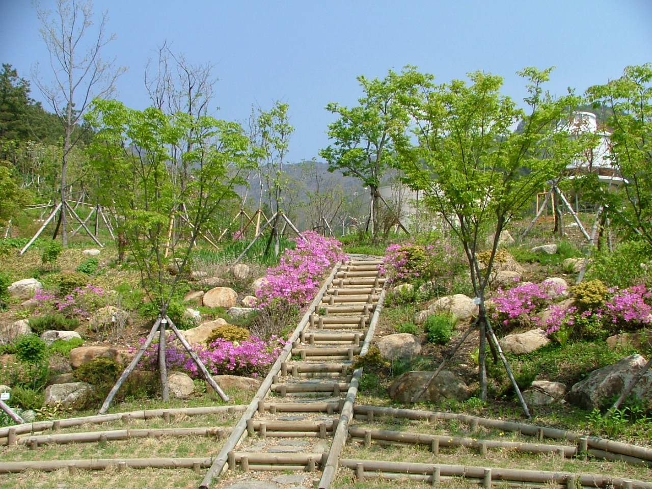 국화원.jpg
