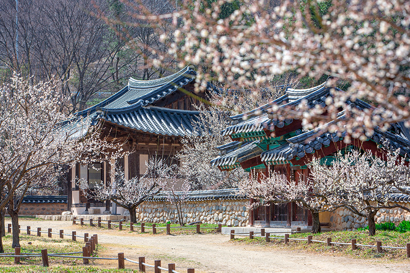 회연서원