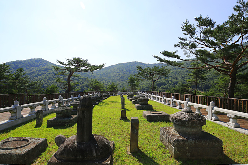 세종대왕자태실